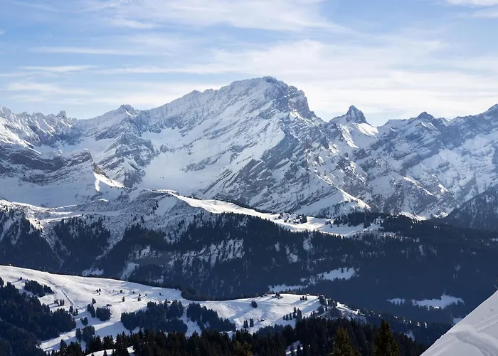 Marignac 33 By Interhome Villars-sur-Ollon